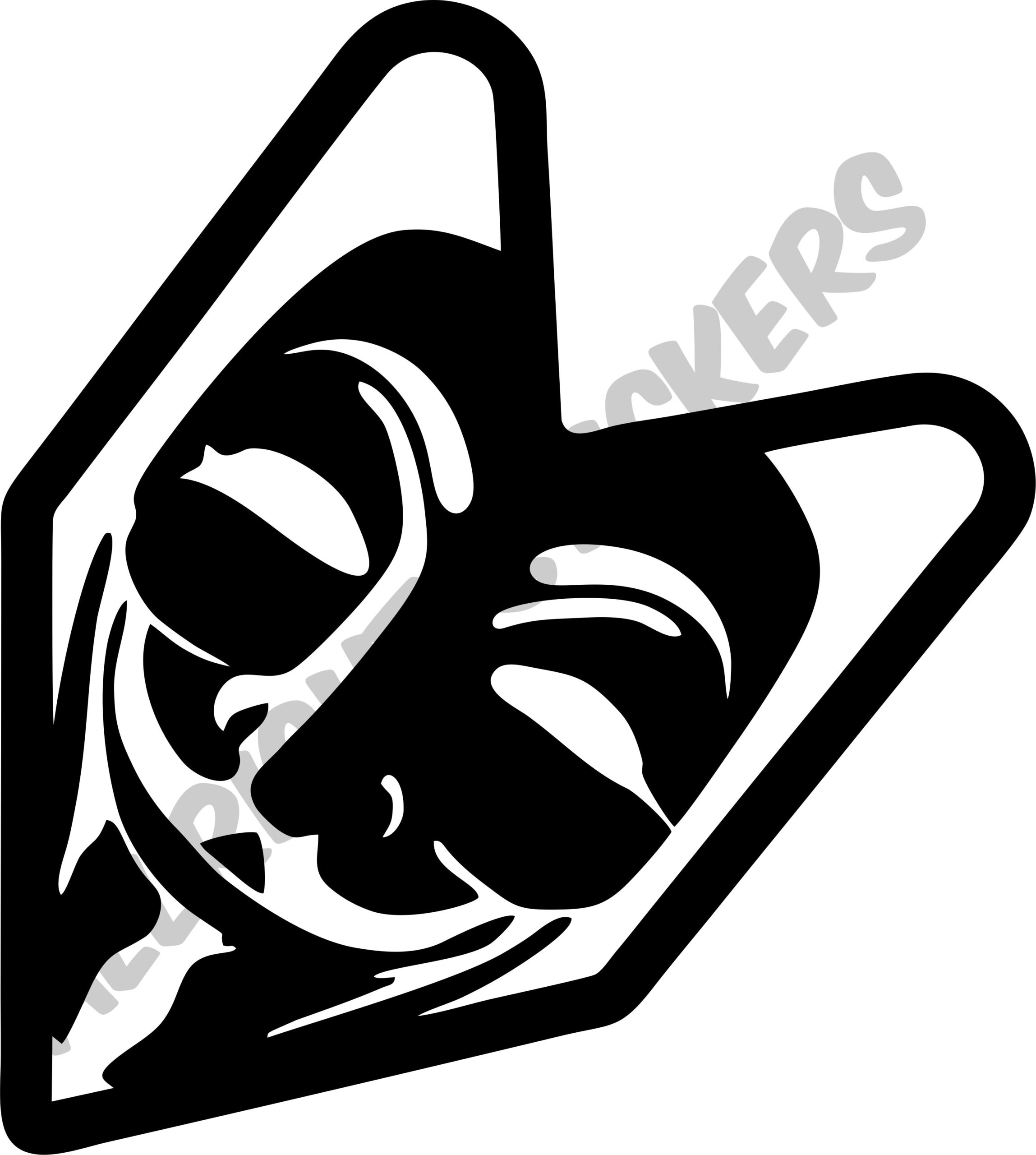 ANONIMUS STICKER