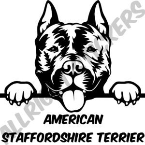 AMERICAN STAFFORD TERRIER