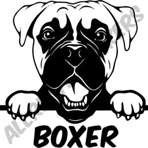 BOXER