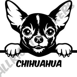 CHIHUAHUA