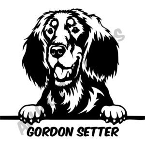GORDON SETTER