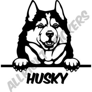 HUSKY