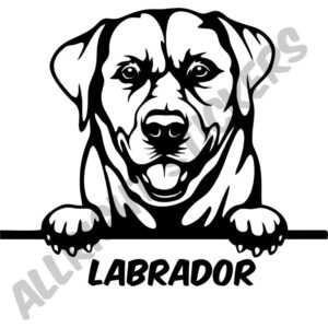 LABRADOR